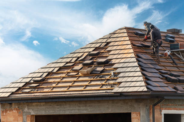 Best Roof Maintenance and Cleaning  in Mason Neck, VA
