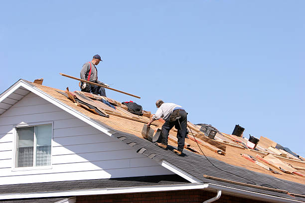 Best Storm Damage Roof Repair  in Mason Neck, VA